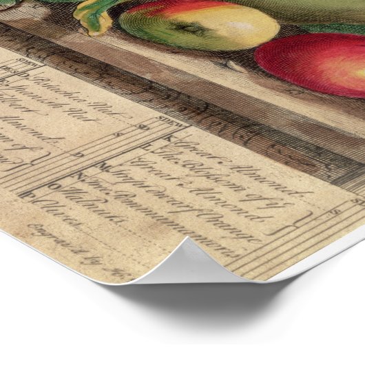 Poster Pieter Casteels, douze mois de fruits, mars (Coin)