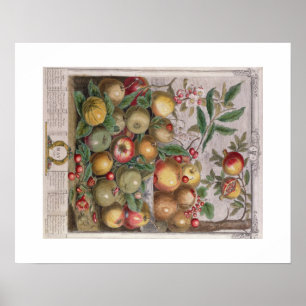 Poster Pieter Casteels, douze mois de fruits, peut