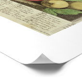 Poster Pieter Casteels, Douze mois de fruits Septembre (Coin)