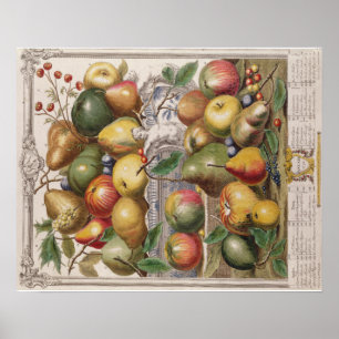 Poster Pieter Casteels, Twelve Months of Fruits" January