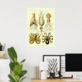 Poster Pieuvre marine vintage par Ernst Haeckel (Bureau à domicile)