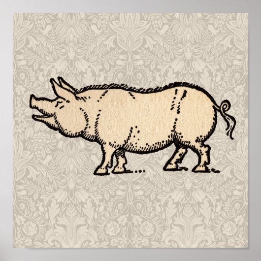 Poster Pig Antique Piggy Cute Vintage (Devant)