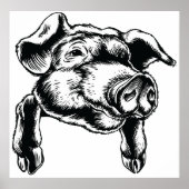 Poster Pig Head Farm Animal Drawing in Black White (Devant)