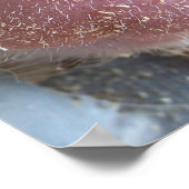 Poster Pig rose gros plan photo (Coin)