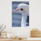 Poster Pigeon (Cuisine)