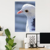 Poster Pigeon (Bureau à domicile)
