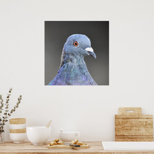 Poster Pigeon (Cuisine)