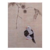 Poster Pigeon (Devant)
