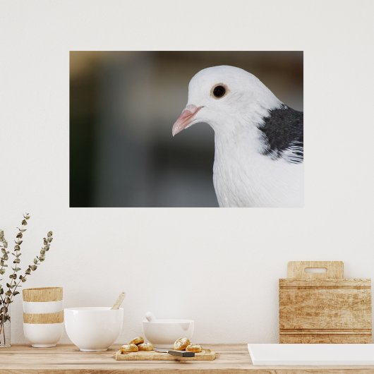 Poster Pigeon (Cuisine)