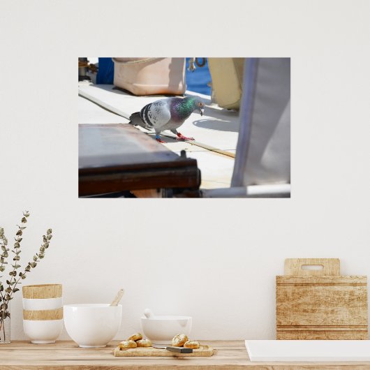Poster Pigeon (Cuisine)
