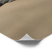 Poster Pigeon (Coin)