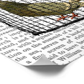 Poster Pigeon (Coin)