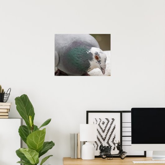 Poster Pigeon (Bureau à domicile)