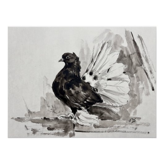 Poster Pigeon à queue indienne Eyeliner Poule (Devant)