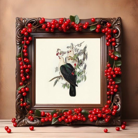 Poster Pigeon à tête blanche, Vintage