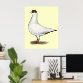 Poster Pigeon casque néerlandais (Bureau à domicile)