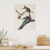 Poster Pigeon de passager (1838) John J. Audubon (Cuisine)