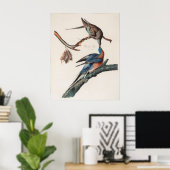 Poster Pigeon de passager (1838) John J. Audubon (Bureau à domicile)