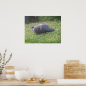 Poster Pigeon dormant (Cuisine)