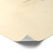 Poster Pigeon Hawk (Merlin) - Audubon's Birds of America (Coin)