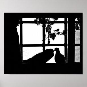 Poster Pigeon Love