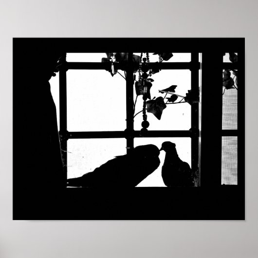 Poster Pigeon Love (Devant)