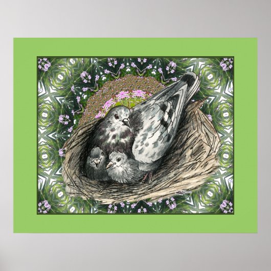 Poster Pigeon Nest (Devant)