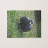 Poster Pigeon Puzzle (Horizontal)