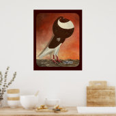 Poster Pigeon rouge Norwich (Cuisine)