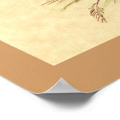 Poster Pigeon Tumbler : LFCL Mealy (Coin)