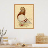 Poster Pigeon Tumbler : LFCL Mealy (Cuisine)