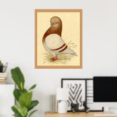 Poster Pigeon Tumbler : LFCL Mealy (Bureau à domicile)