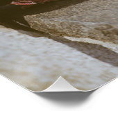 Poster Pigeons (Coin)