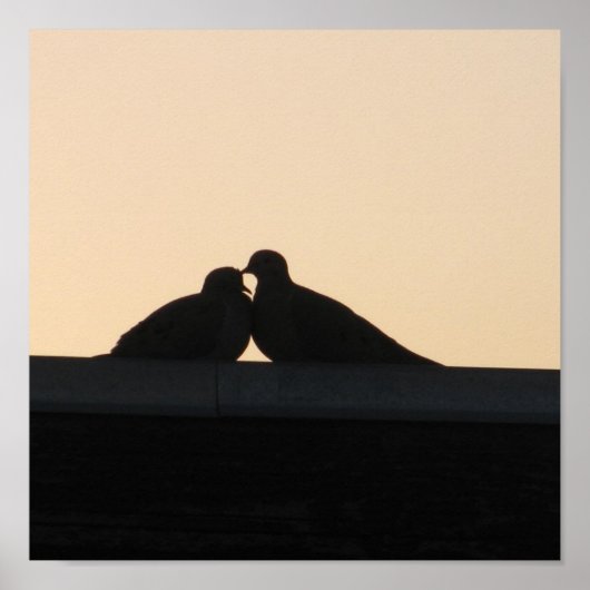 Poster Pigeons (Devant)