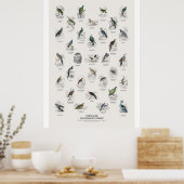 Poster Pigeons - Bibliothèque du naturaliste (Cuisine)
