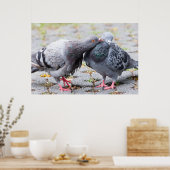 Poster Pigeons embrassants (Cuisine)