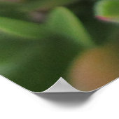 Poster Pigface (Coin)