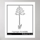Poster Piggiwiggia Pyramidalis. (Devant)