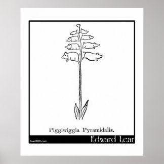 Poster Piggiwiggia Pyramidalis.