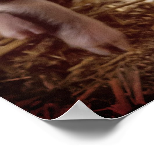 Poster Piglet mignon (Coin)
