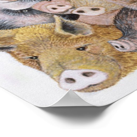 Poster Pigs Galore (Coin)