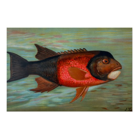 Poster Pike de Sacramento par John L Petrie (Devant)