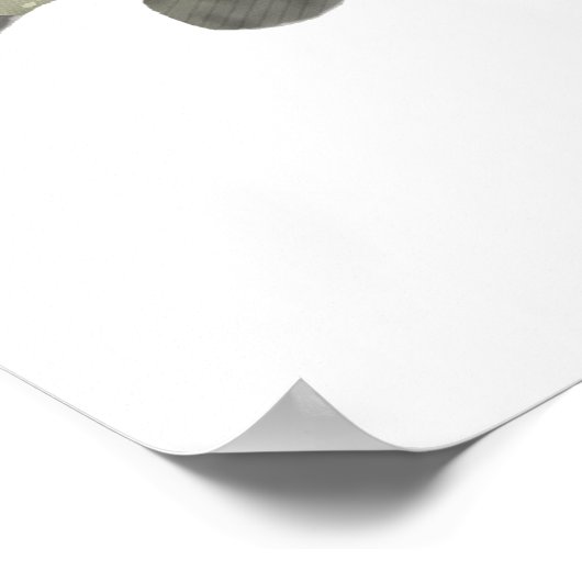 Poster Pike du Nord (Coin)