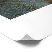 Poster Pikes Peak à Catamount Reservoir, Colorado (Coin)