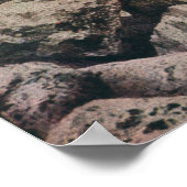 Poster Pikes Peak, Colorado - Au Sommet (Coin)