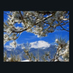 Poster Pikes Peak Neige hiver Couverte Art Fractal<br><div class="desc">Pikes Peak Mountain recouverte de neige en hiver,  bordée de branches de pins. La photo a une touche artistique,  avec l'art fractal pour créer une sensation rêveuse.</div>