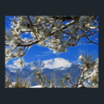 Poster Pikes Peak Neige hiver Couverte Art Fractal<br><div class="desc">Pikes Peak Mountain recouverte de neige en hiver,  bordée de branches de pins. La photo a une touche artistique,  avec l'art fractal pour créer une sensation rêveuse.</div>