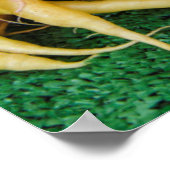 Poster Pikes Place Market, Seattle, Washington, USA (Coin)