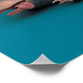 Poster Pile bébé NIFFLER™ (Coin)