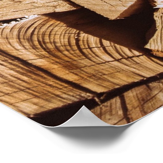 Poster Pile de bois de feu (Coin)